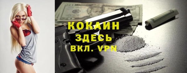 спайс Лагань